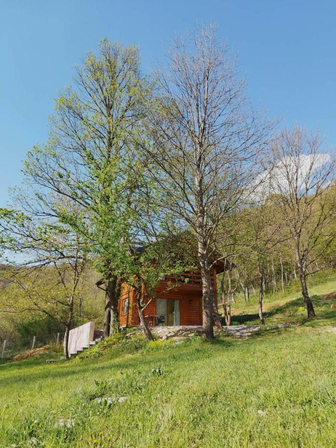 Kuca U Sumi - Forest House Near National Park Una - Air Spa Lohovo Bihac Ngoại thất bức ảnh