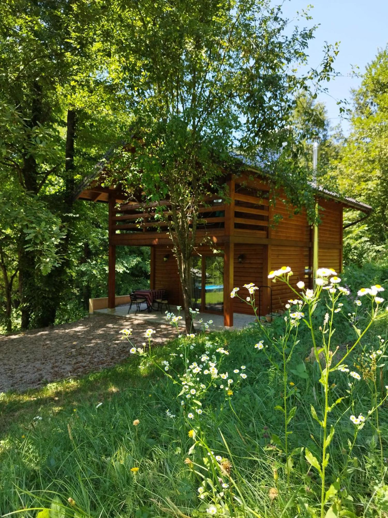 Kuca U Sumi - Forest House Near National Park Una - Air Spa Lohovo Bihac Ngoại thất bức ảnh