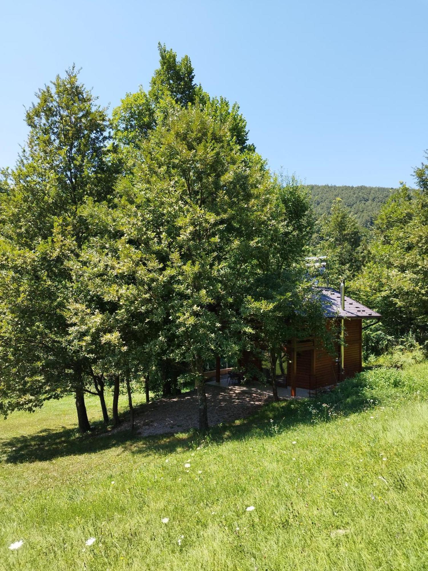 Kuca U Sumi - Forest House Near National Park Una - Air Spa Lohovo Bihac Ngoại thất bức ảnh